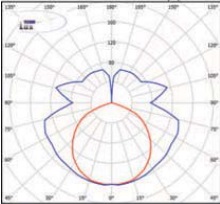  ������ ���� �����